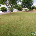 Prefeitura de Jataí realiza mutirão de poda e limpeza na Praça da Bíblia