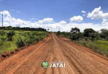 Prefeitura de Jataí realiza mutirão de poda e limpeza na Praça da Bíblia