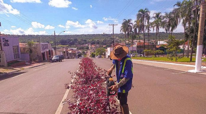 Página: 507 – Prefeitura de Jataí