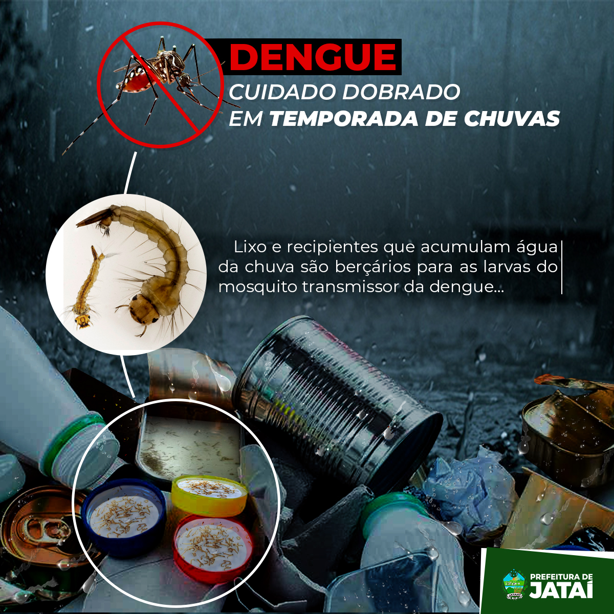 DENGUE Prevenção e Cuidados Prefeitura de Jataí