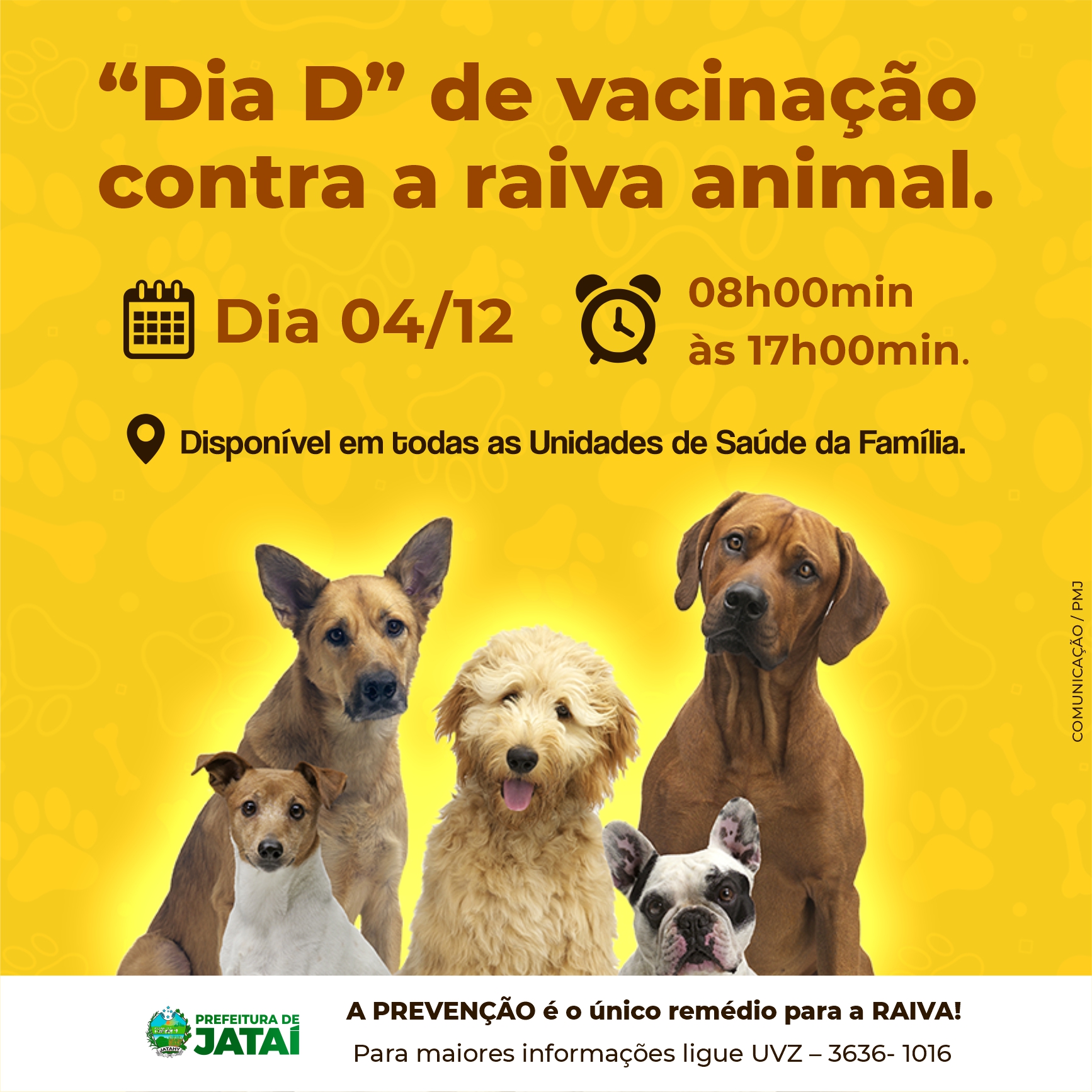 Vacinando e curando animais doentes — Animal Ethics